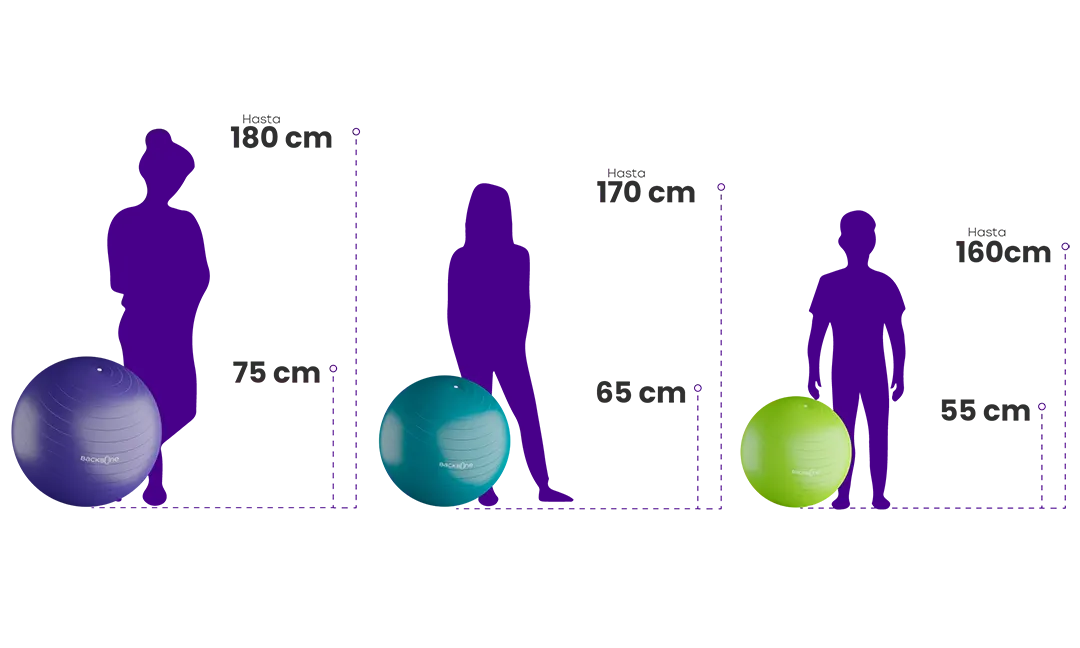 PELOTA DE EJERCICIOS 75CM MOD BB830 B-BALL THERAMART - Imagen 3