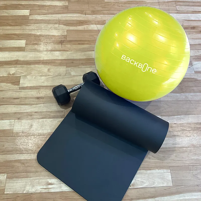 PELOTA DE EJERCICIOS 55CM MOD BB810 B-BALL THERAMART - Imagen 4